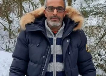 بين شجرتين وظِل