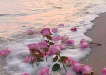 من السراب إلى الحقيقة …