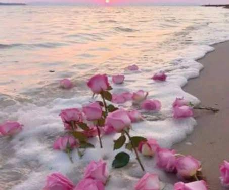 من السراب إلى الحقيقة …