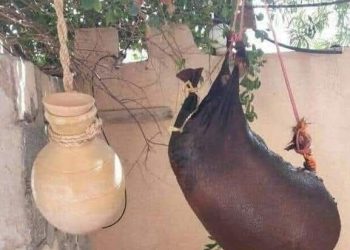 القربة والشّكوة في الجزائر: صامدتان رغم التّطوّر التّكنولوجي