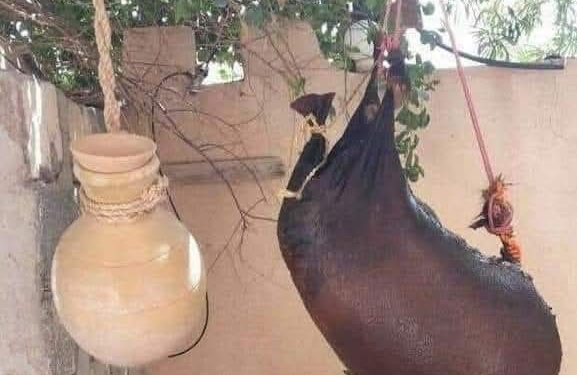 القربة والشّكوة في الجزائر: صامدتان رغم التّطوّر التّكنولوجي