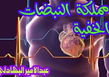 مملكة النبضات الخفية