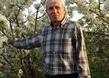 قلبي شاقول البنّاء