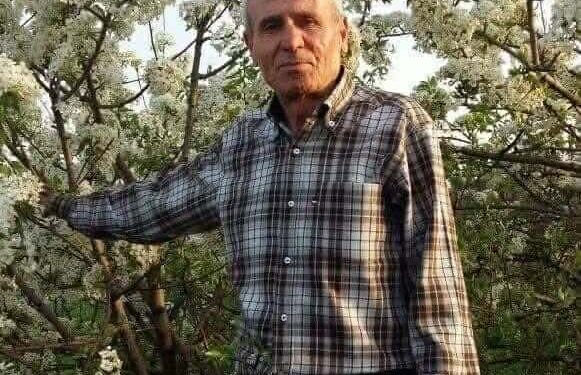 قلبي شاقول البنّاء