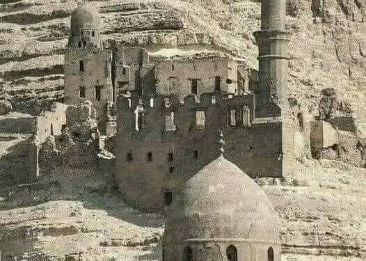 د. دعاء محمود تكتب نفحات الجنة