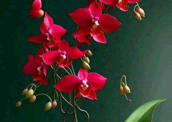 أذكَارُ الحُبِّ …