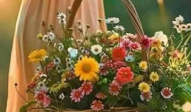 المرأة تجسيدٌ لرحمة الله …