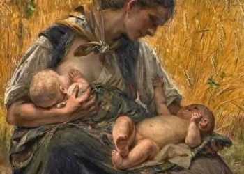 في حقل القمح …