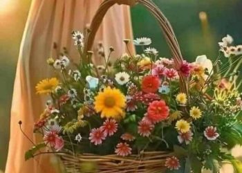 آمال القاسم تكتب المرأة تجسيد لرحمة الله