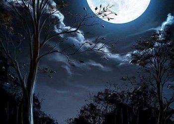 حين يهدأ الغضب، تُفتح عين ثالثة اسمها الإدراك