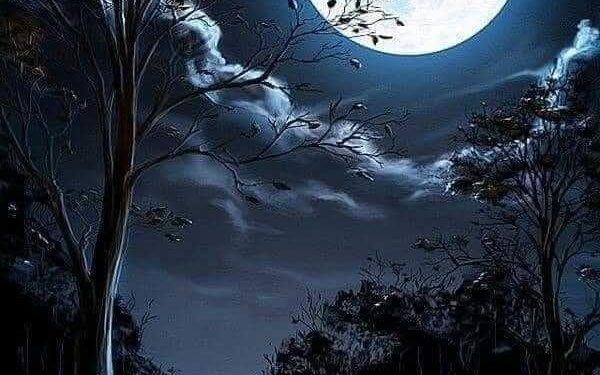 حين يهدأ الغضب، تُفتح عين ثالثة اسمها الإدراك