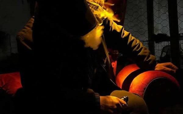 أنا الفنُّ…