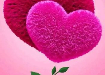 الاشتياق هو سرُّ الحياة