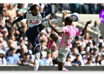 توتنهام يعود للانتصارات ويدفع ساوثهامبتون للهبوط في الدوري الإنجليزي