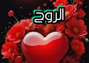 يا حبيبة الرّوح …
