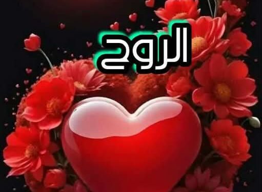 يا حبيبة الرّوح …