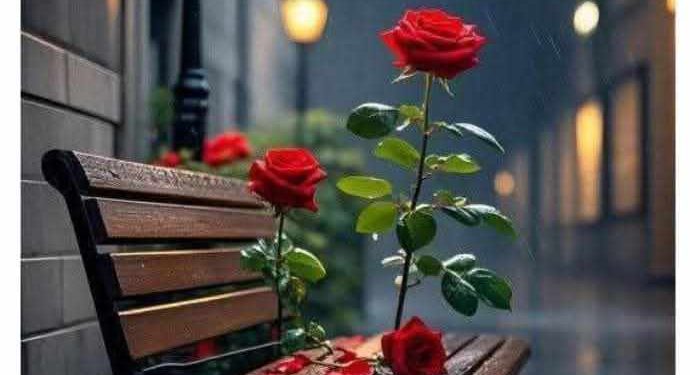 الأحبّة الغرباء …