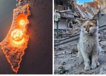 نور الدين طاهري يكتب: شريطٌ أبيض.