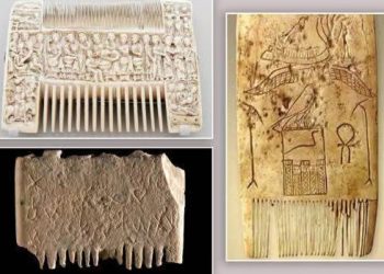 المشط من عاجِ كليوباترا إلى أدراج اليوم : أثر ناعم عبر الحضارات