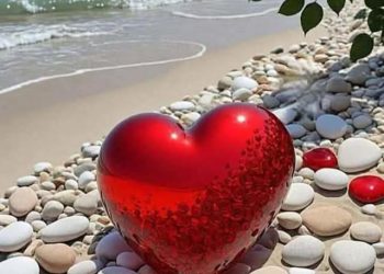 شواطئ القلوب