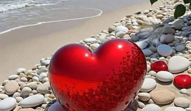 شواطئ القلوب