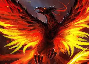 سيأتي حين تشحب الأرض …