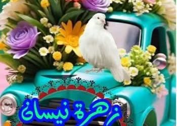 زهرة نيسان المهاجرة