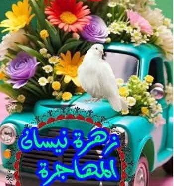 زهرة نيسان المهاجرة