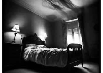 الشّقة رقم 555