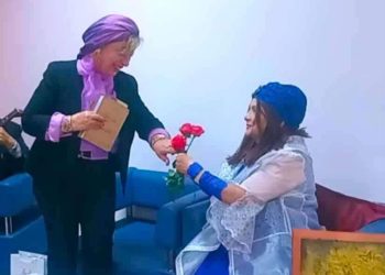 يوميات فراشة