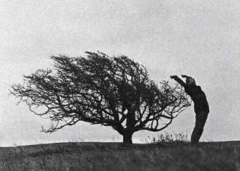 وكنّا أشجاراً