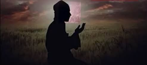 عزه السعدني يكتب ياقلب قاسى