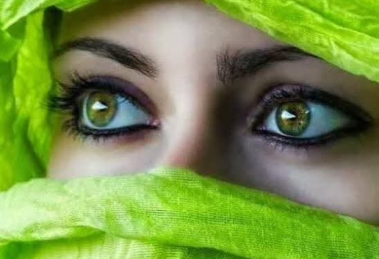   سامح كامل يكتب عيناك قطرات من عسل