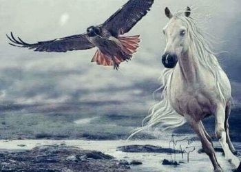 كُنت مجنوناً …