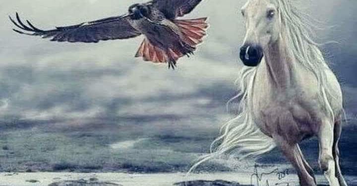 كُنت مجنوناً …