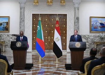 السيسى يستقبل اليوم بقصر الاتحادية، السيد عثمان غزالي …