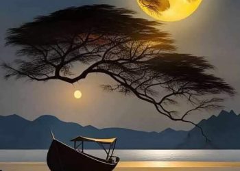 سيد ابوزيد غربة الرّوح 