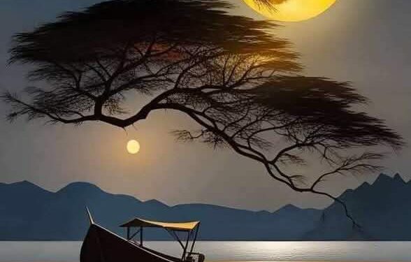 سيد ابوزيد غربة الرّوح 