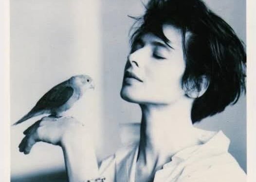 إنّها مجنونة ..