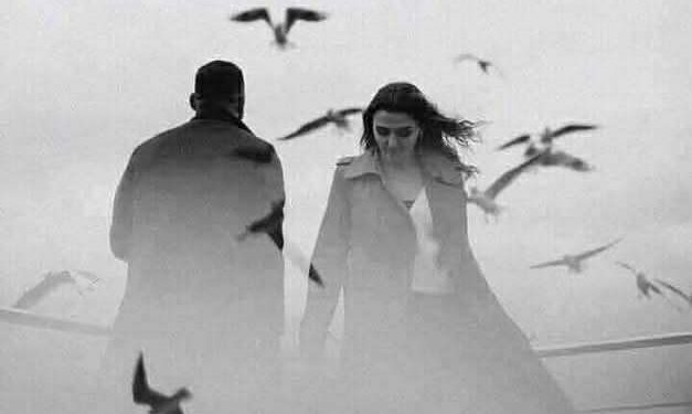 قالت لي ذات يوم …