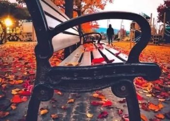 ماذا أقول ؟