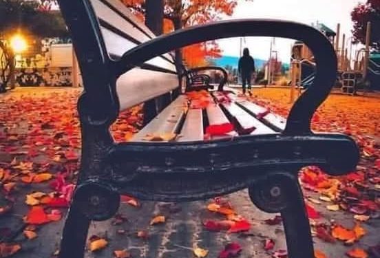 ماذا أقول ؟