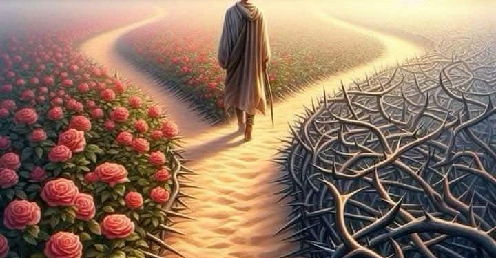 رسالة في درب الحياة …