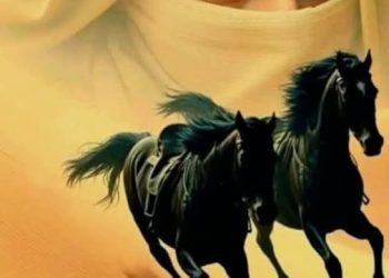 فنجان قهوتي …