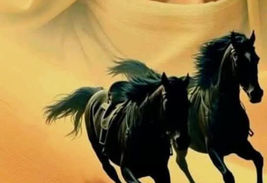 فنجان قهوتي …