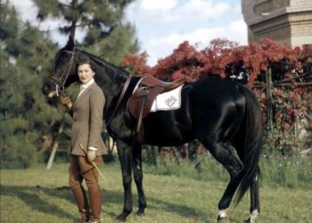 الأميرة فاطمة نسل شاه سيدة مصر الأولى …