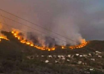 الشّامُ حرفٌ قد تبسَّمَ في فمي