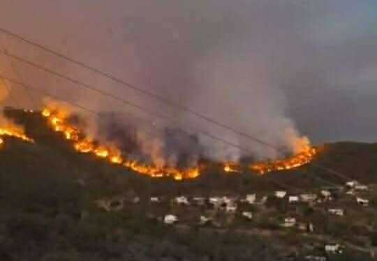 الشّامُ حرفٌ قد تبسَّمَ في فمي