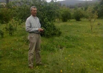 أريد وجها هادئا …