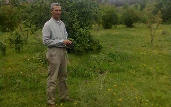 أريد وجها هادئا …